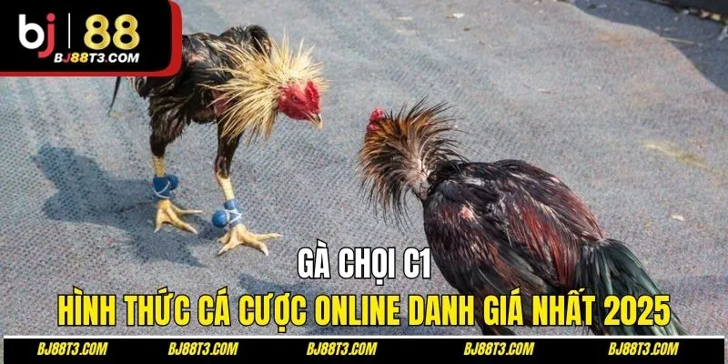 Gà Chọi C1| Hình Thức Cá Cược Online Danh Giá Nhất 2025